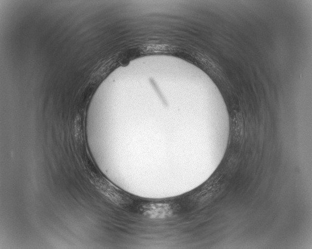 X0000053110361200508081231