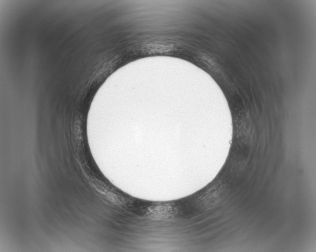 X0000053110362200508081231