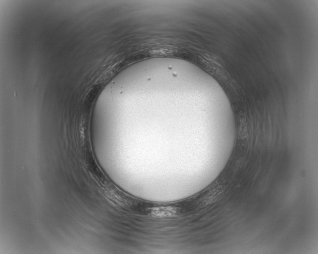 X0000053110363200508081231