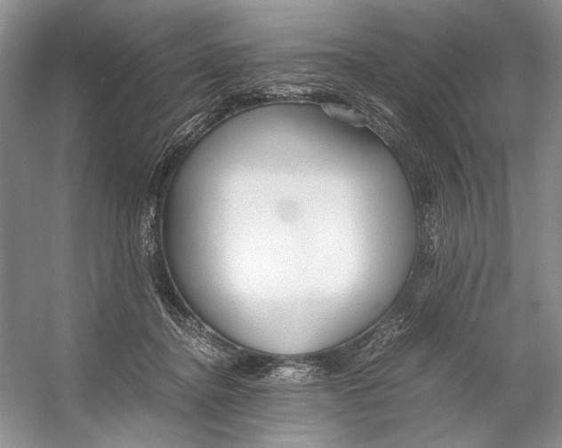 X0000053110364200508081231