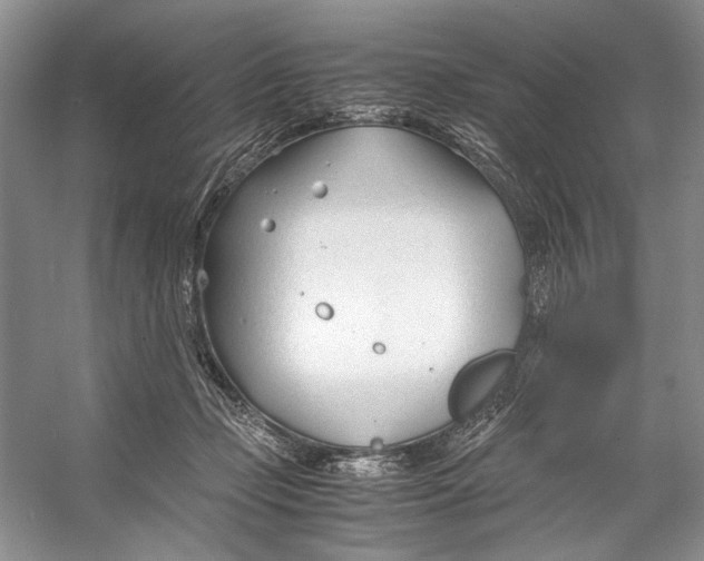 X0000053110365200508081231