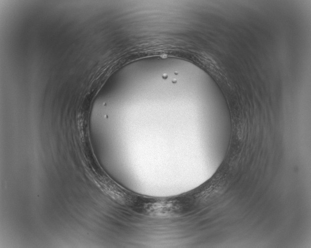 X0000053110366200508081231