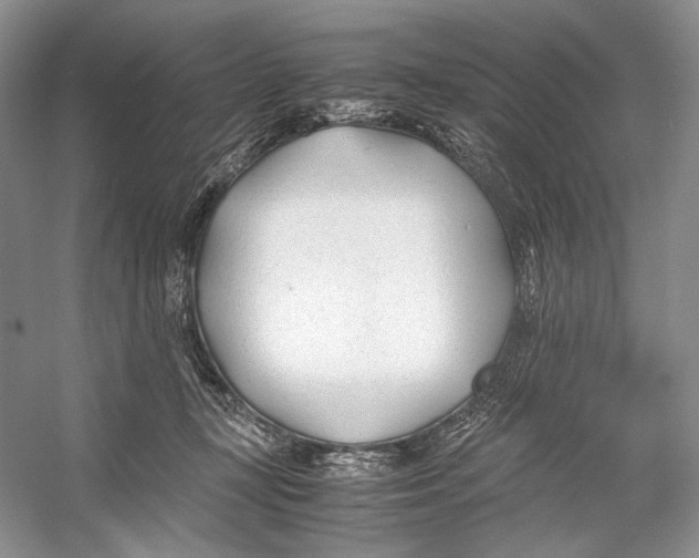 X0000053110367200508081231