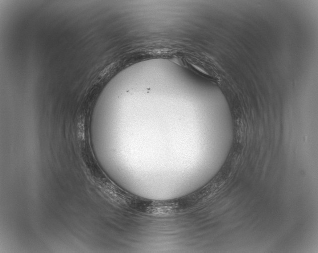 X0000053110368200508081231