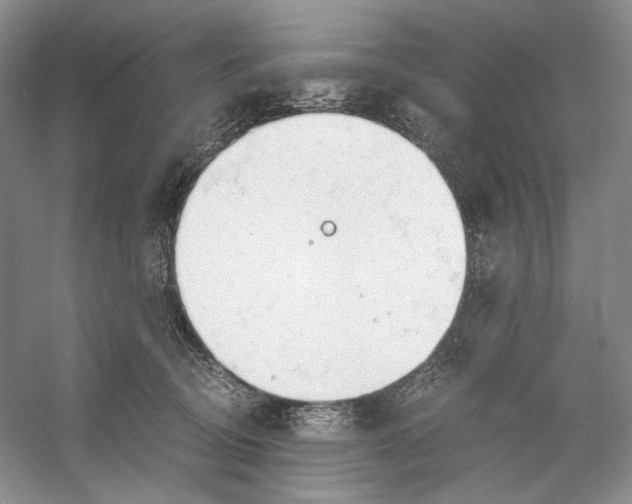 X0000053110370200508081232