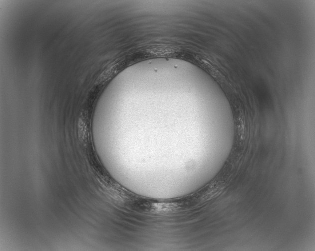 X0000053110371200508081232