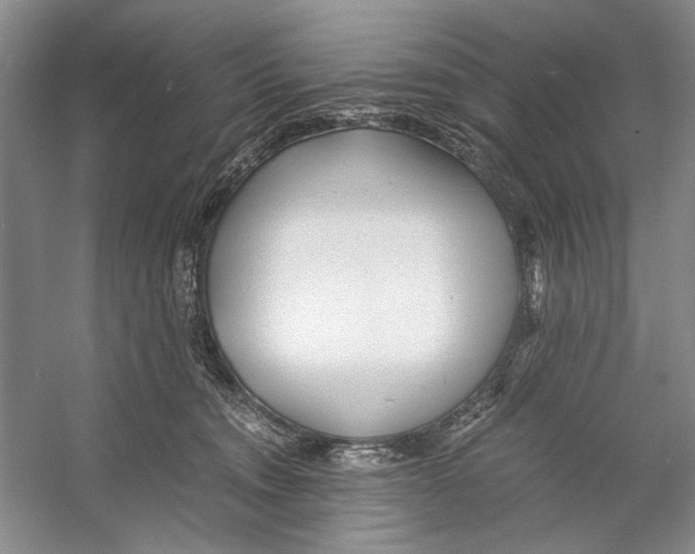 X0000053110372200508081232