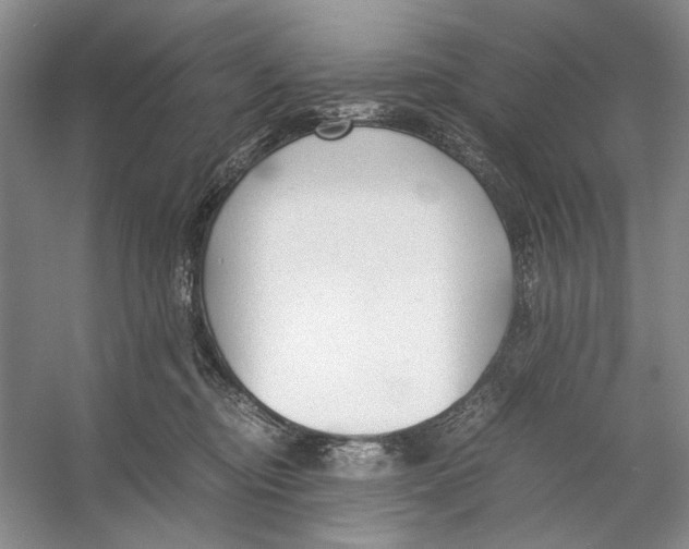 X0000053110374200508081232