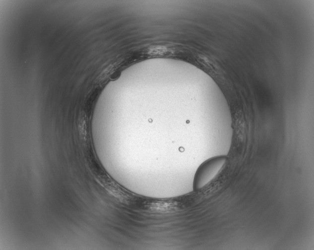 X0000053110375200508081232