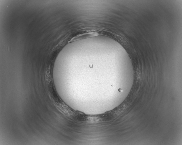 X0000053110376200508081232