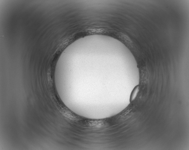 X0000053110377200508081232