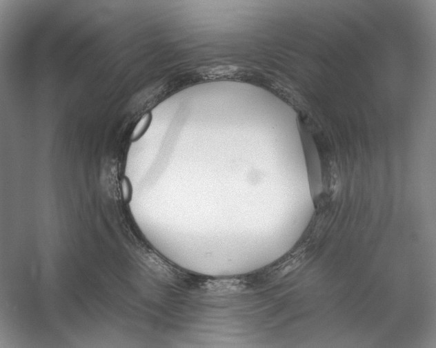 X0000053110378200508081232