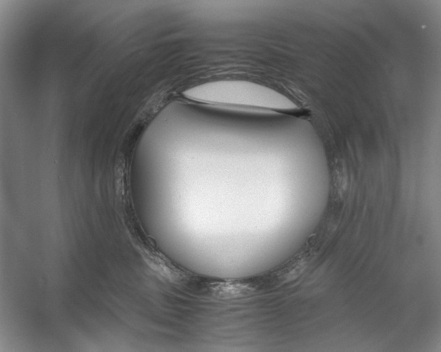 X0000053110379200508081232