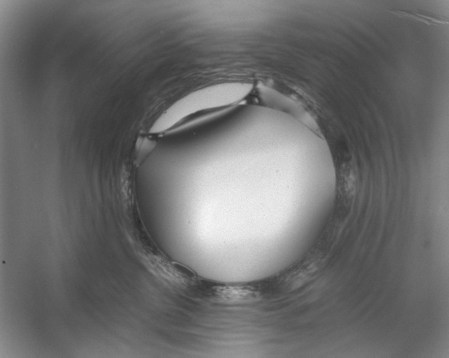 X0000053110380200508081232