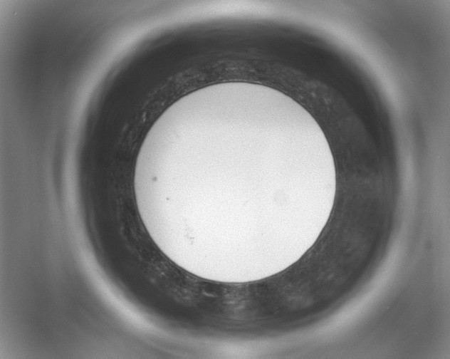 X0000053110382200508081232