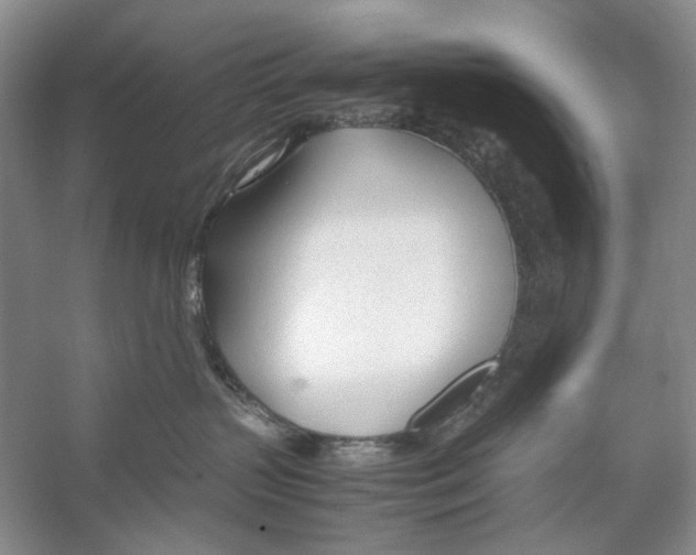 X0000053110383200508081232