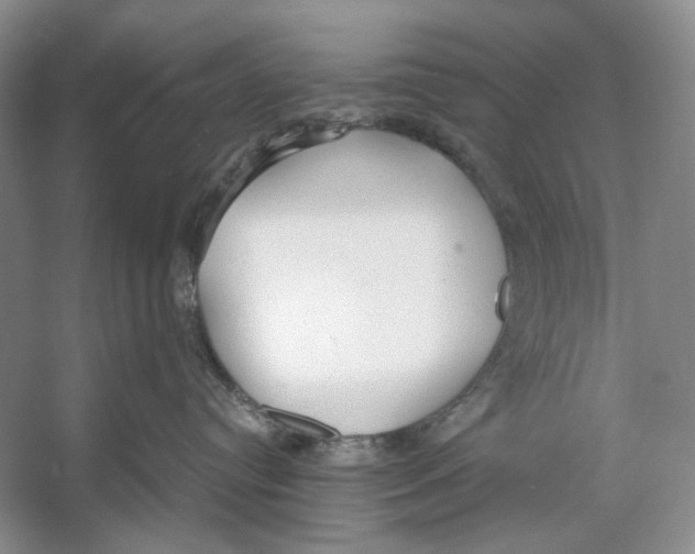 X0000053110384200508081232