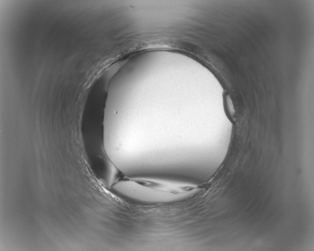 X0000053110385200508081231