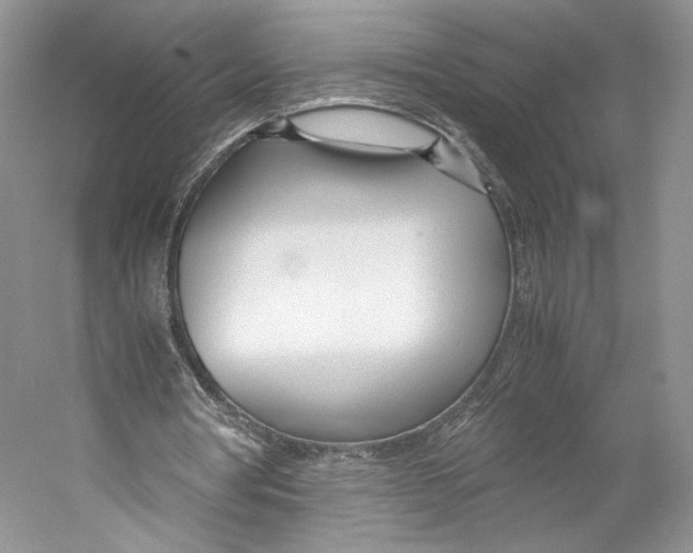 X0000053110386200508081231