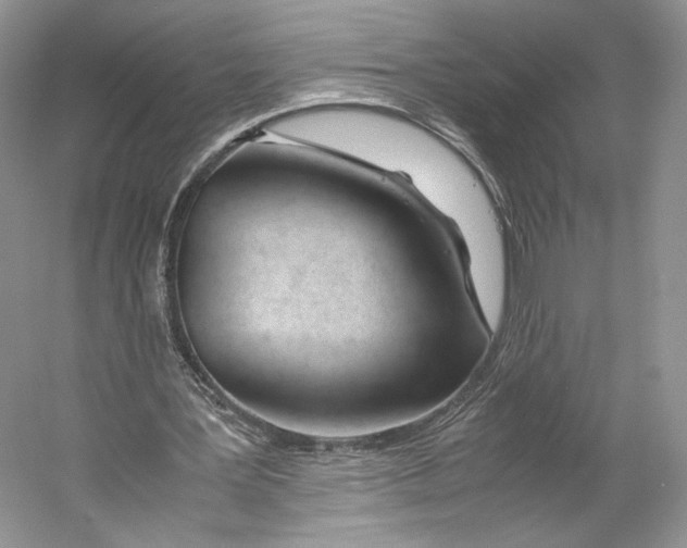 X0000053110387200508081231