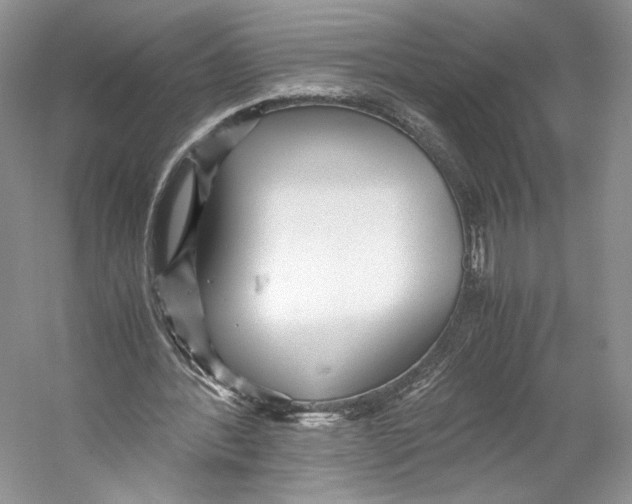 X0000053110388200508081231