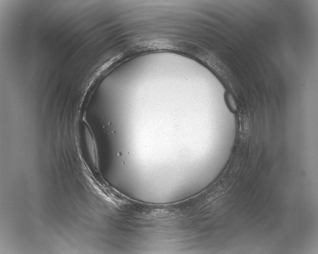 X0000053110390200508081231