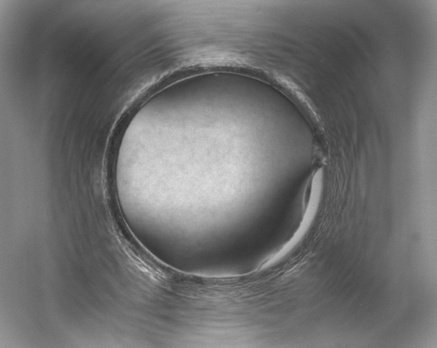 X0000053110391200508081231