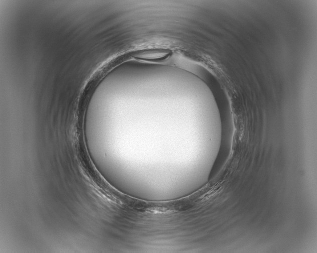 X0000053110392200508081231