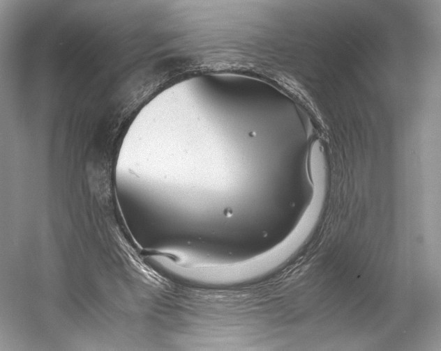 X0000053110393200508081231