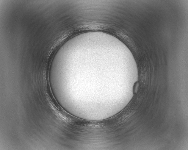 X0000053110394200508081231