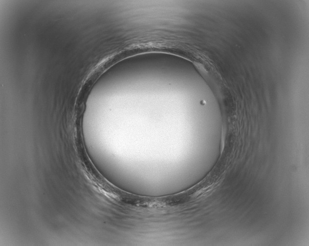 X0000053110395200508081231