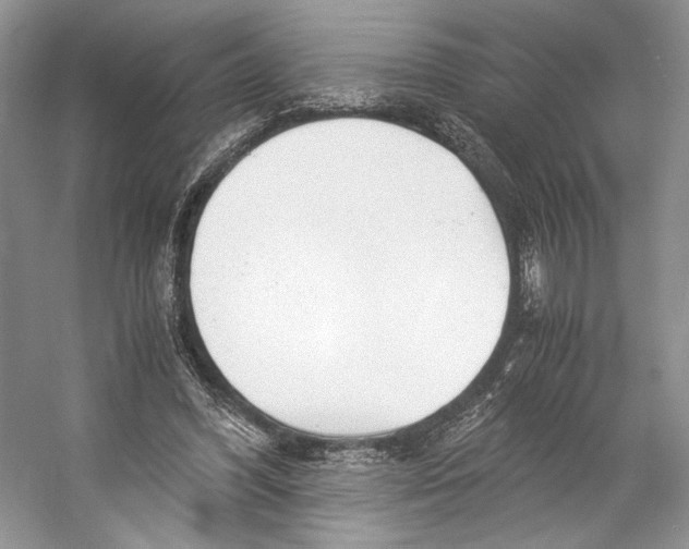 X0000053110396200508081231