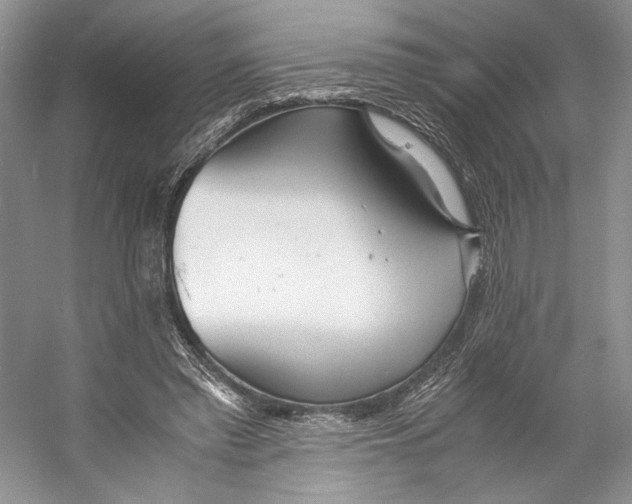 X0000053110397200508081231