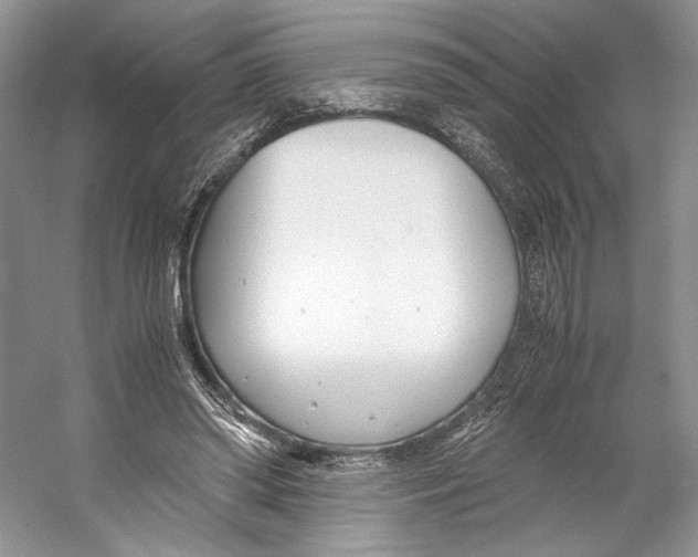 X0000053110398200508081231