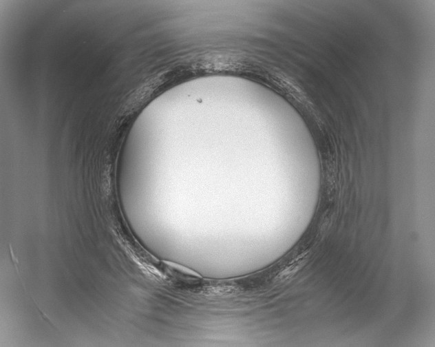 X0000053110401200508081231