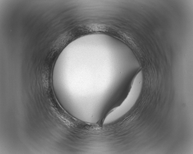 X0000053110402200508081231