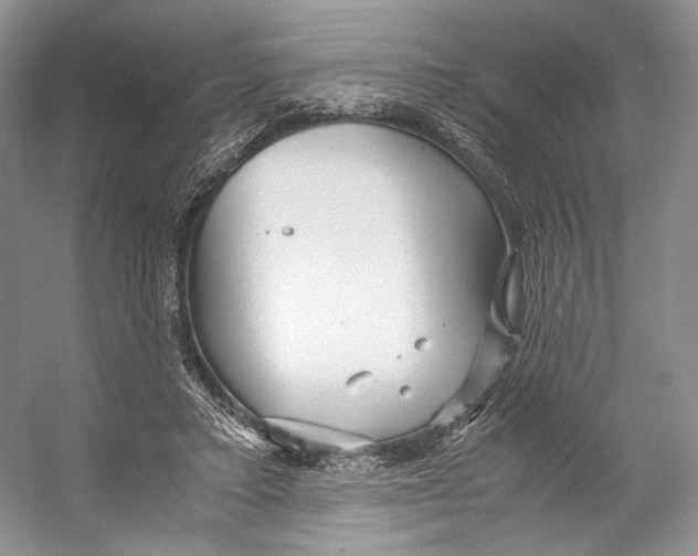 X0000053110403200508081231