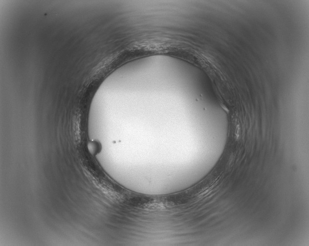 X0000053110404200508081231