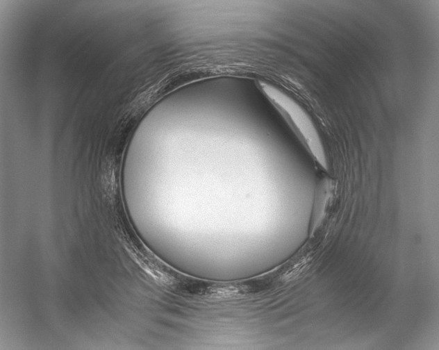 X0000053110405200508081231