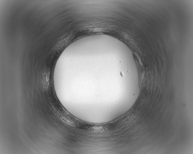 X0000053110406200508081231