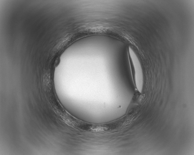 X0000053110407200508081231