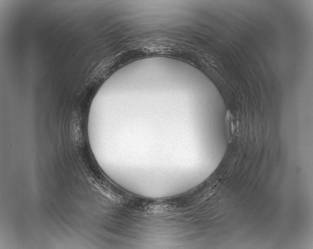 X0000053110408200508081231