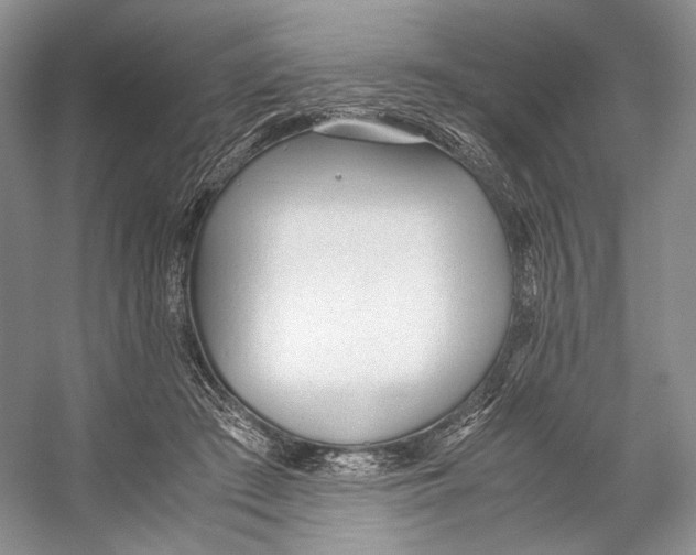 X0000053110409200508081231