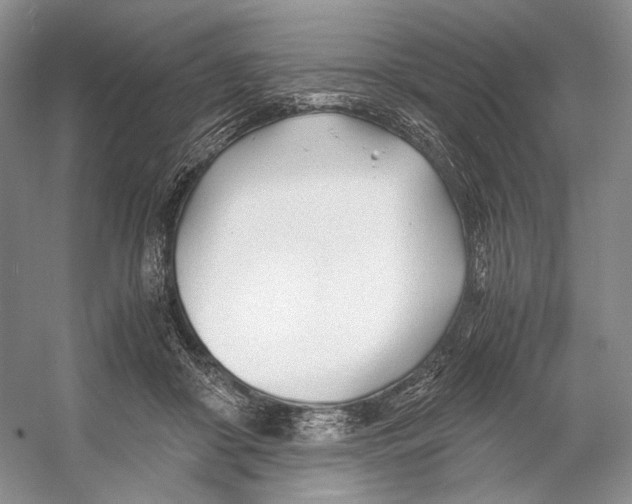 X0000053110410200508081230