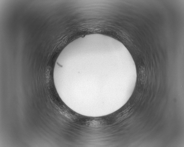 X0000053110412200508081230