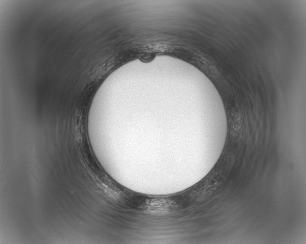 X0000053110414200508081230