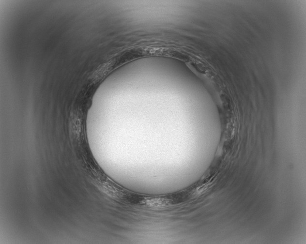 X0000053110417200508081230