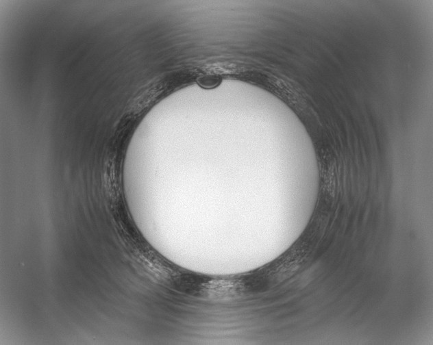 X0000053110418200508081230