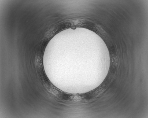 X0000053110419200508081230