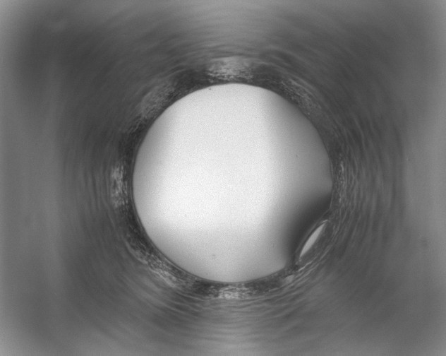 X0000053110420200508081230